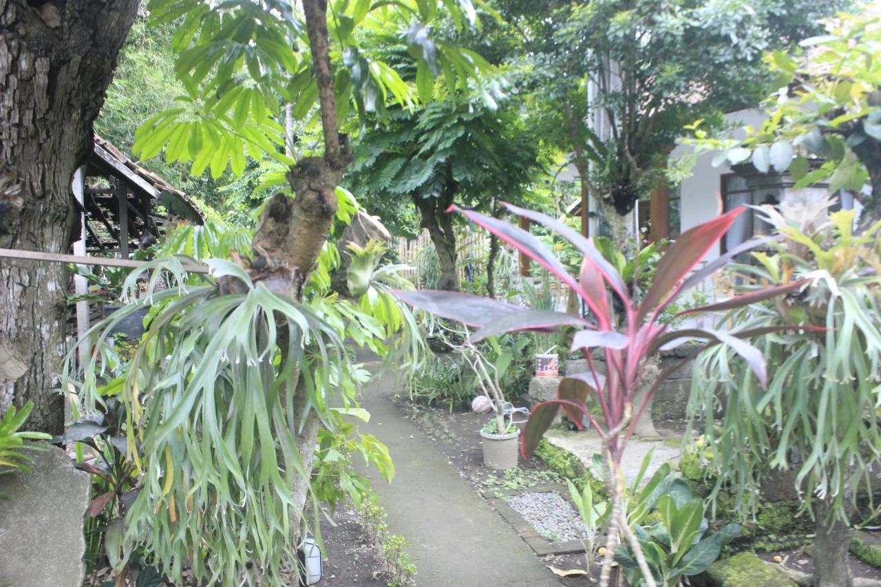 Umah De Arlika Ubud Экстерьер фото